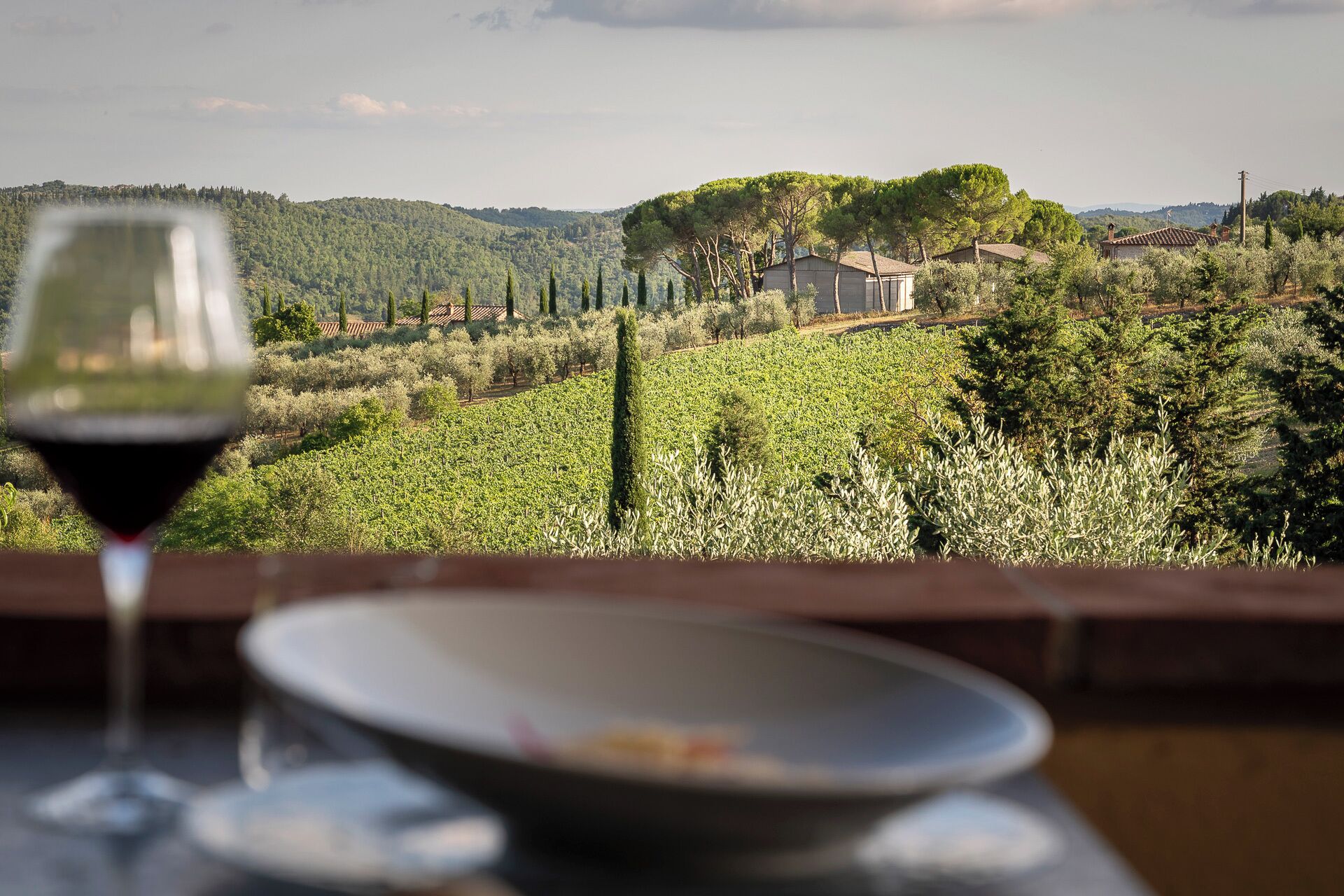 Un verre à vin et un bol sont posés sur une table, avec en arrière-plan une vue sur un vignoble et des maisons.