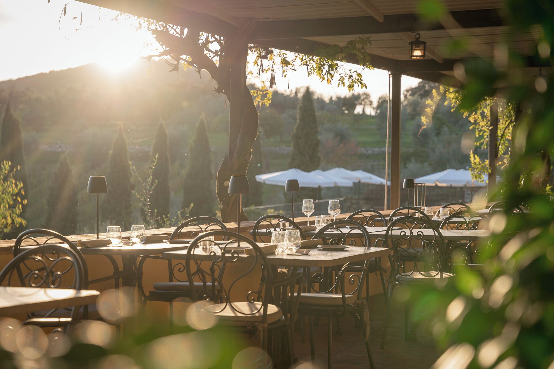 An outdoor dining area with tables and chairs, surrounded by trees and umbrellas.