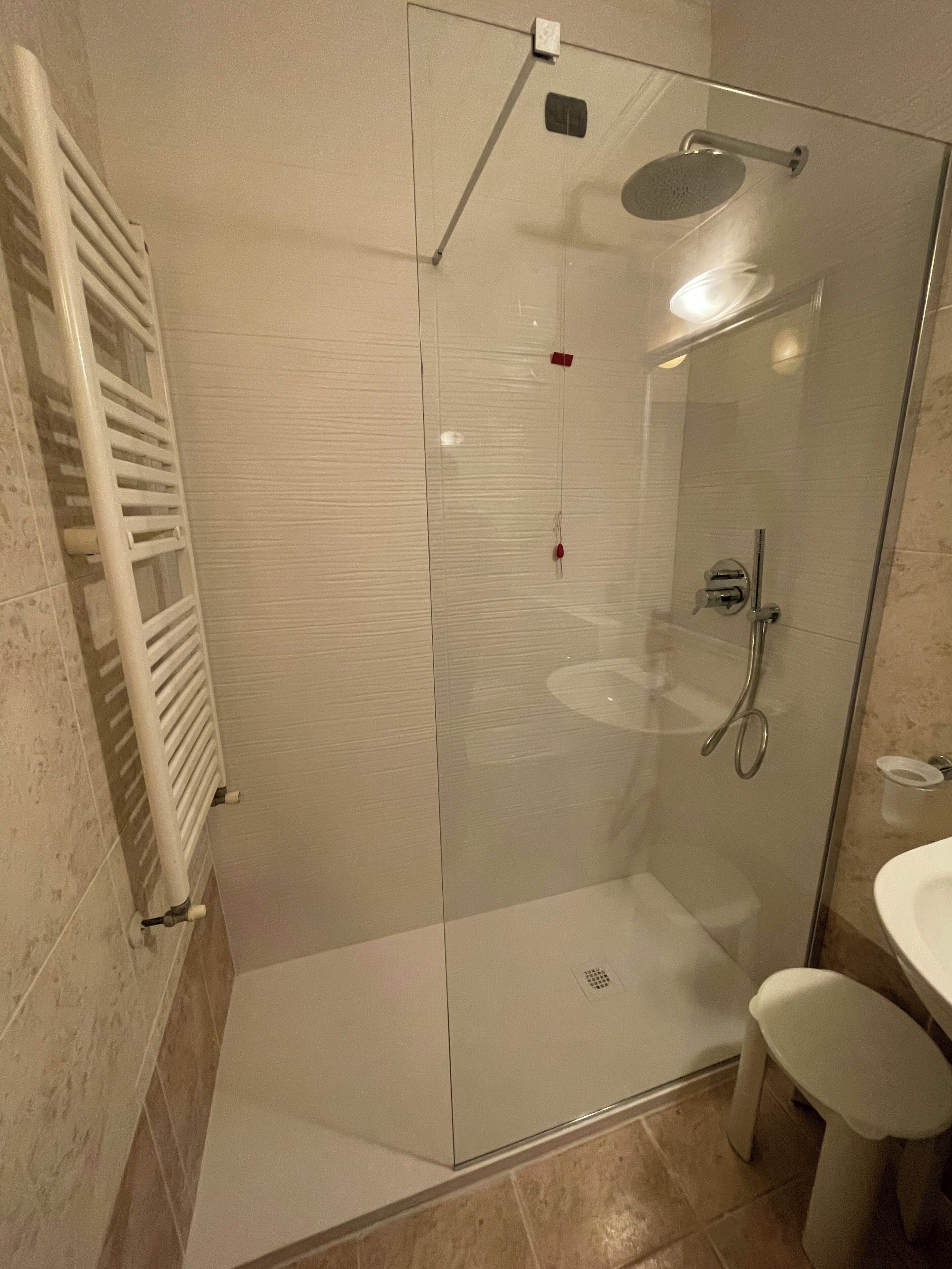 A glass-enclosed shower with a handheld showerhead, a white sink, and a white toilet.
