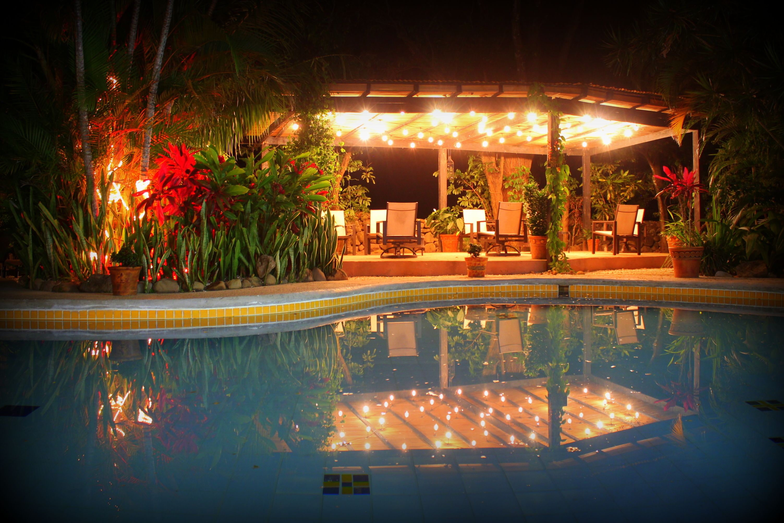 outdoor pool, pool loungers