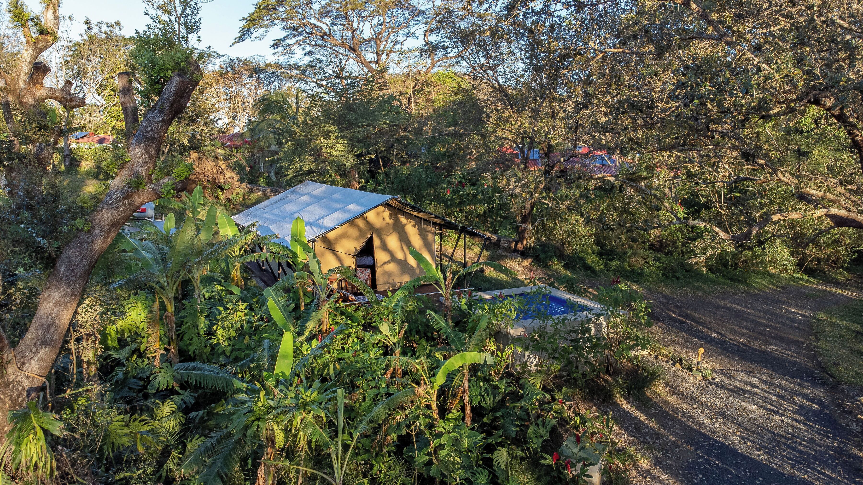 A rustic tent-like structure surrounded by dense tropical foliage, with a gravel path leading to it.