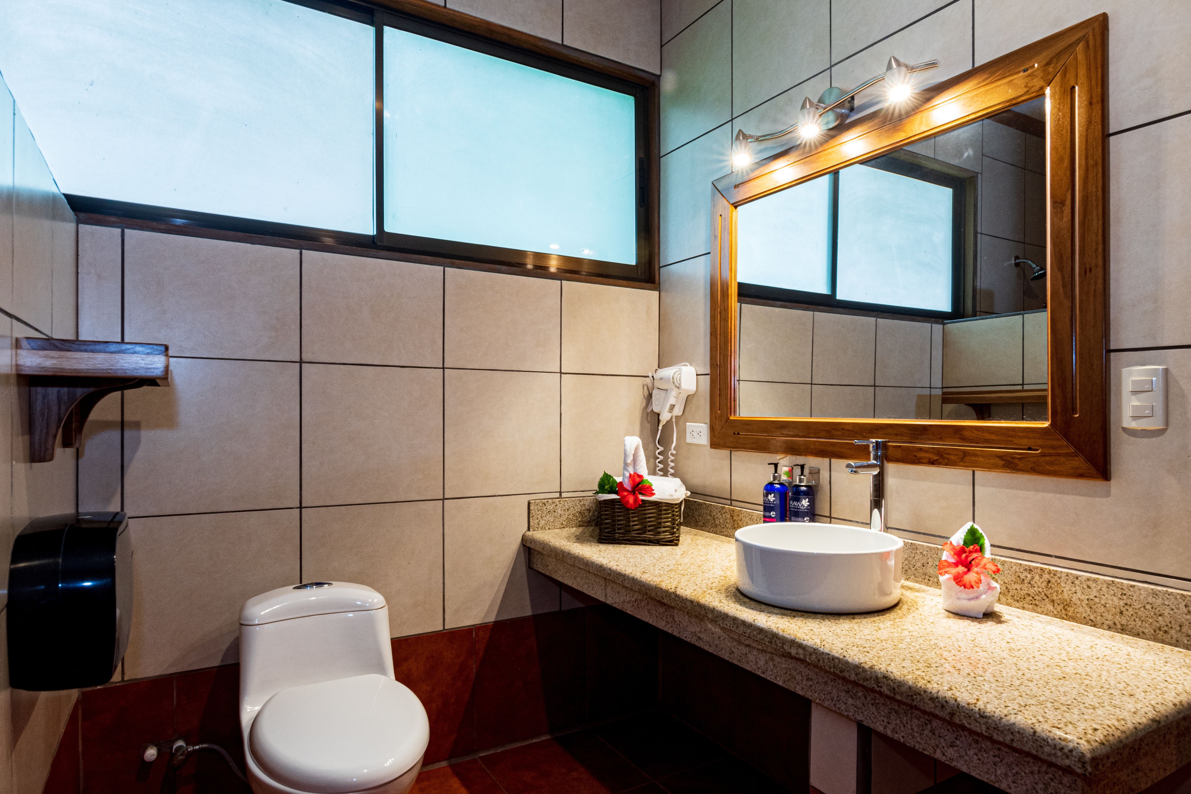 hair dryer, towels, soap, shampoo