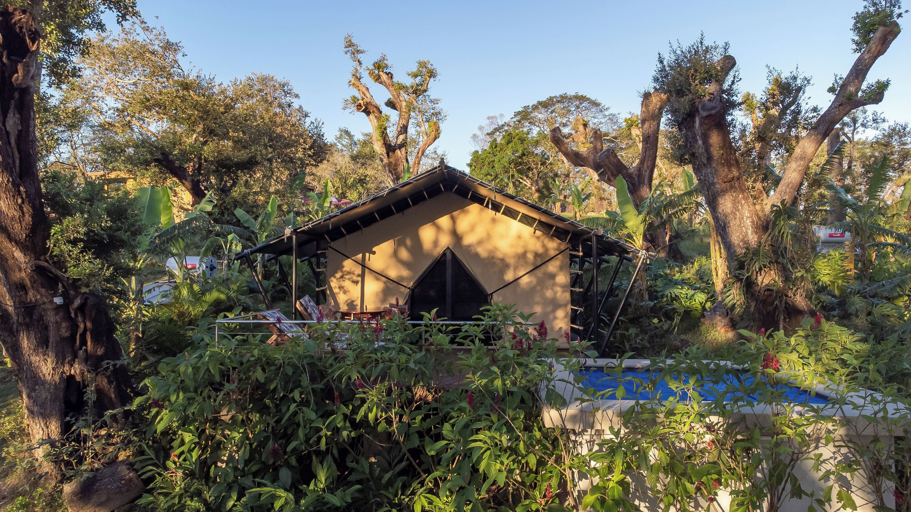 luxury tent | 1 bedroom, hypo-allergenic bedding, in-room safe, individually decorated