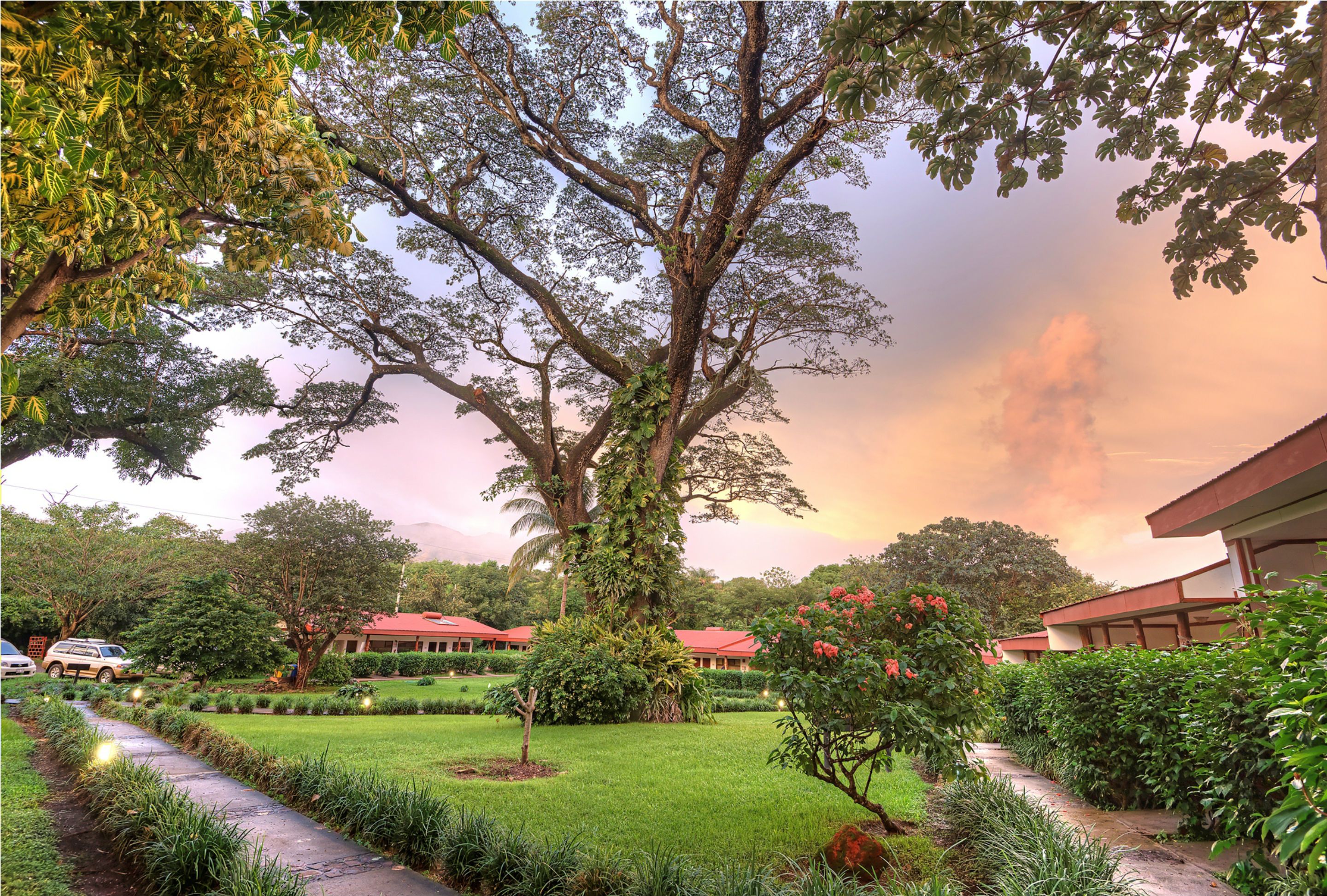 A lush garden with a large tree, a pathway, and a building with a red roof in the background.