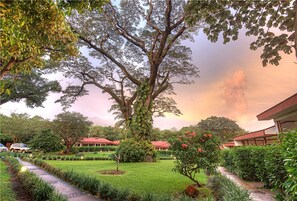 A lush garden with a large tree, a pathway, and a building with a red roof in the background.