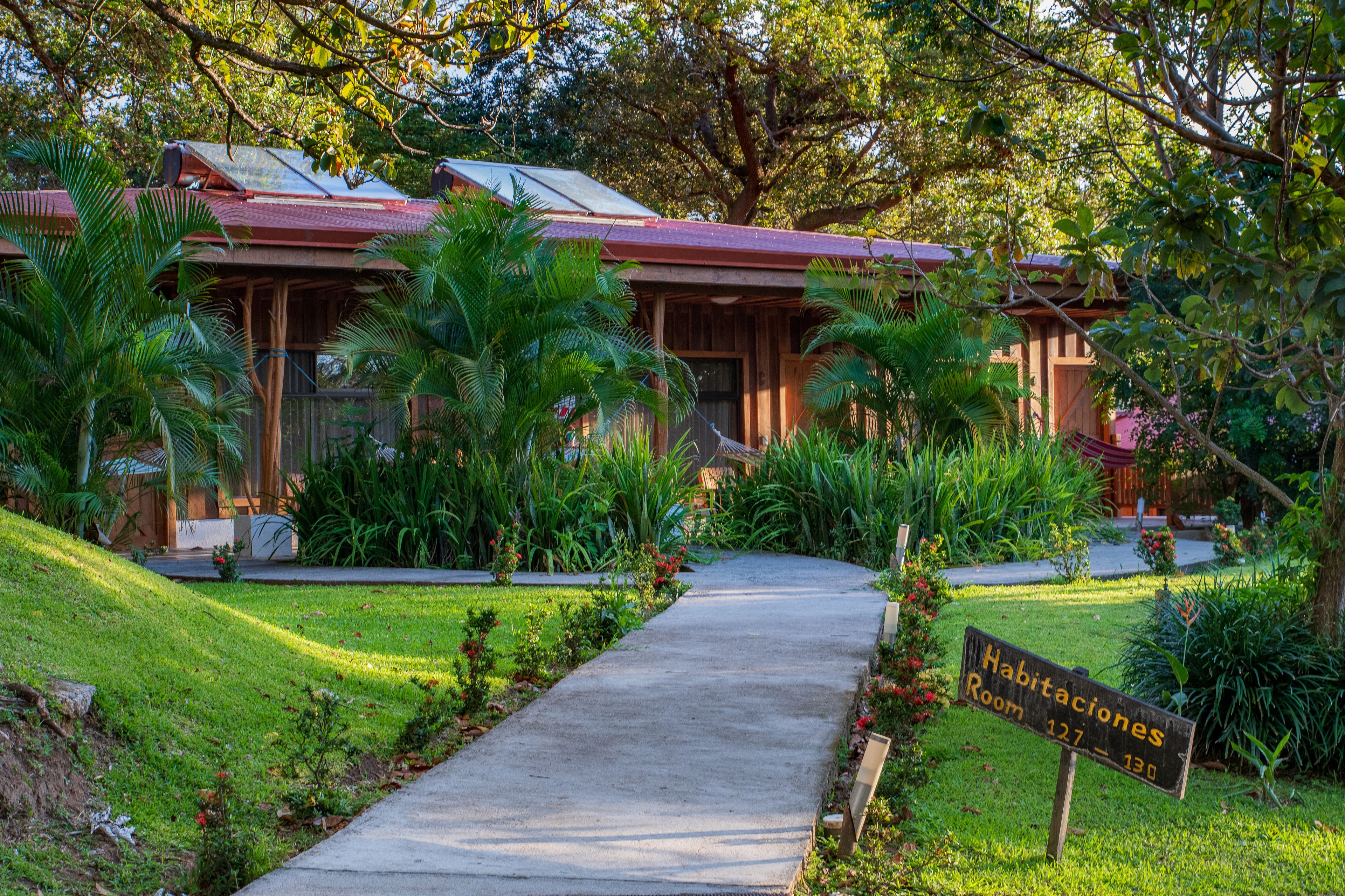 superior suite | view from room