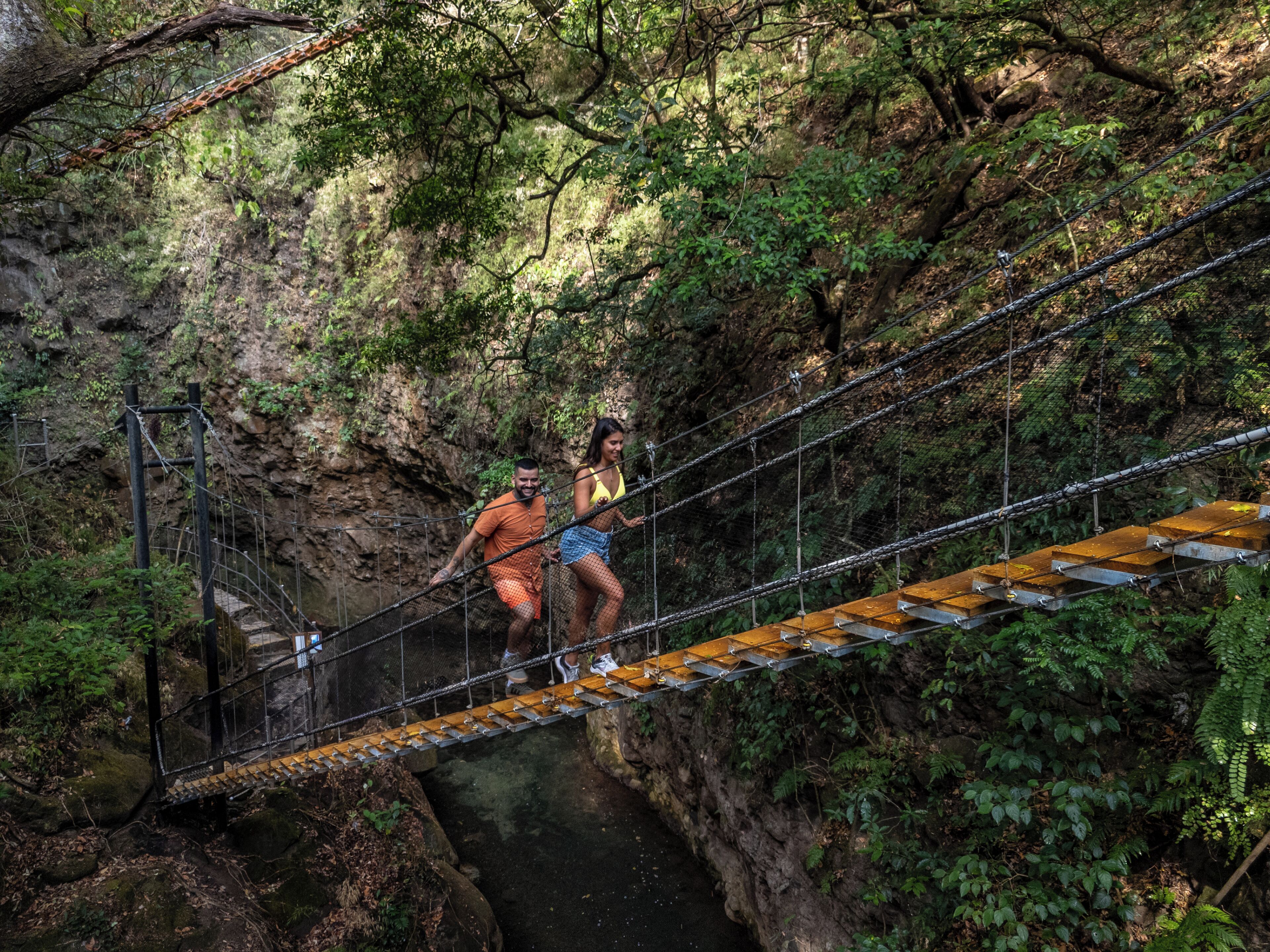 A suspension bridge over a rocky gorge with dense foliage.