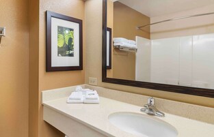 Bañera con ducha, artículos de tocador gratuitos, secador de pelo