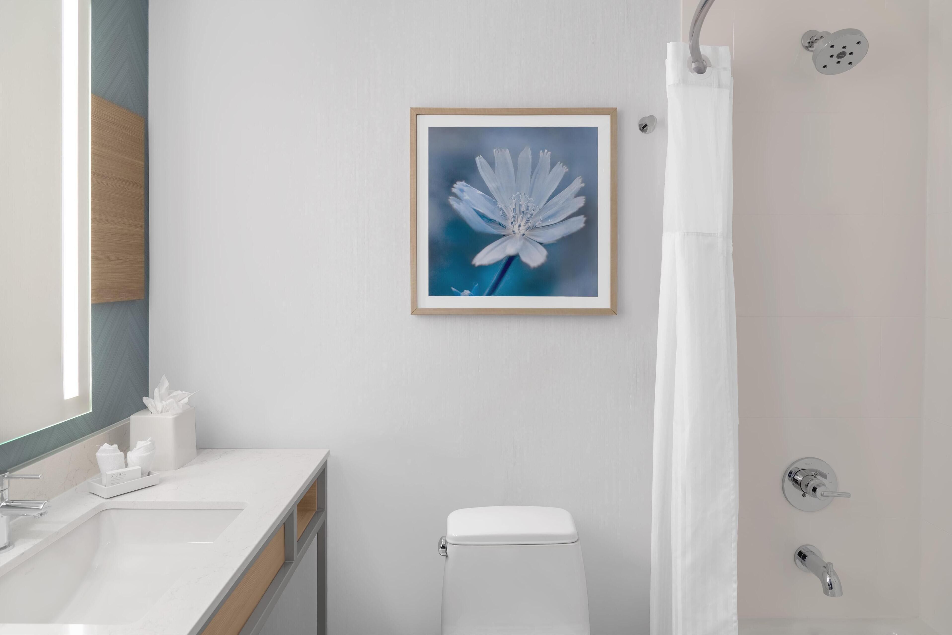 combined shower/bathtub, free toiletries, hair dryer, towels