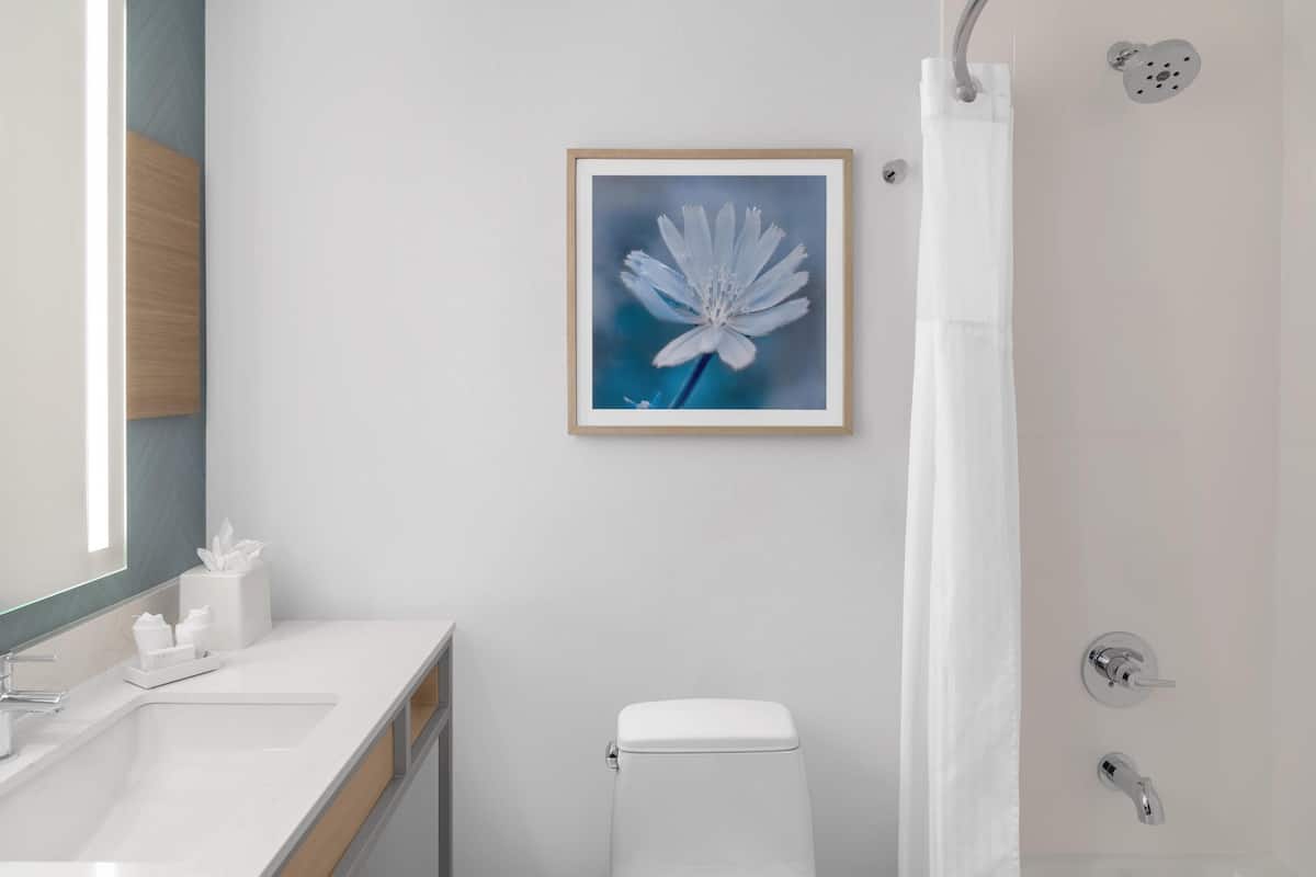 combined shower/bathtub, free toiletries, hair dryer, towels