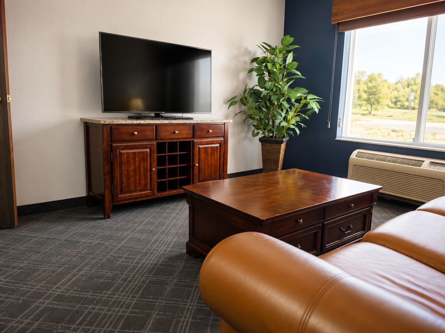 A room with a flat-screen TV, a wooden cabinet, a leather sofa, and a potted plant.
