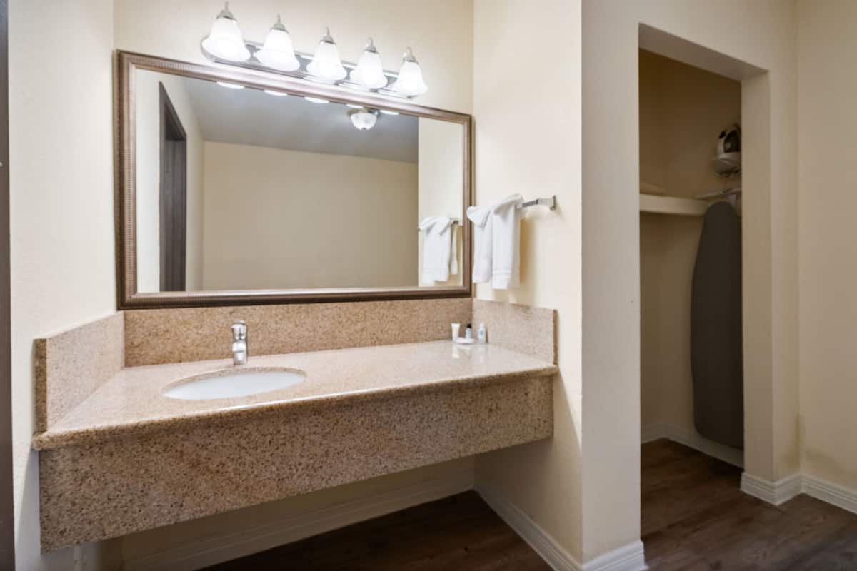 single room, 1 king bed with sofa bed | bathroom | combined shower/bathtub, free toiletries, hair dryer, towels