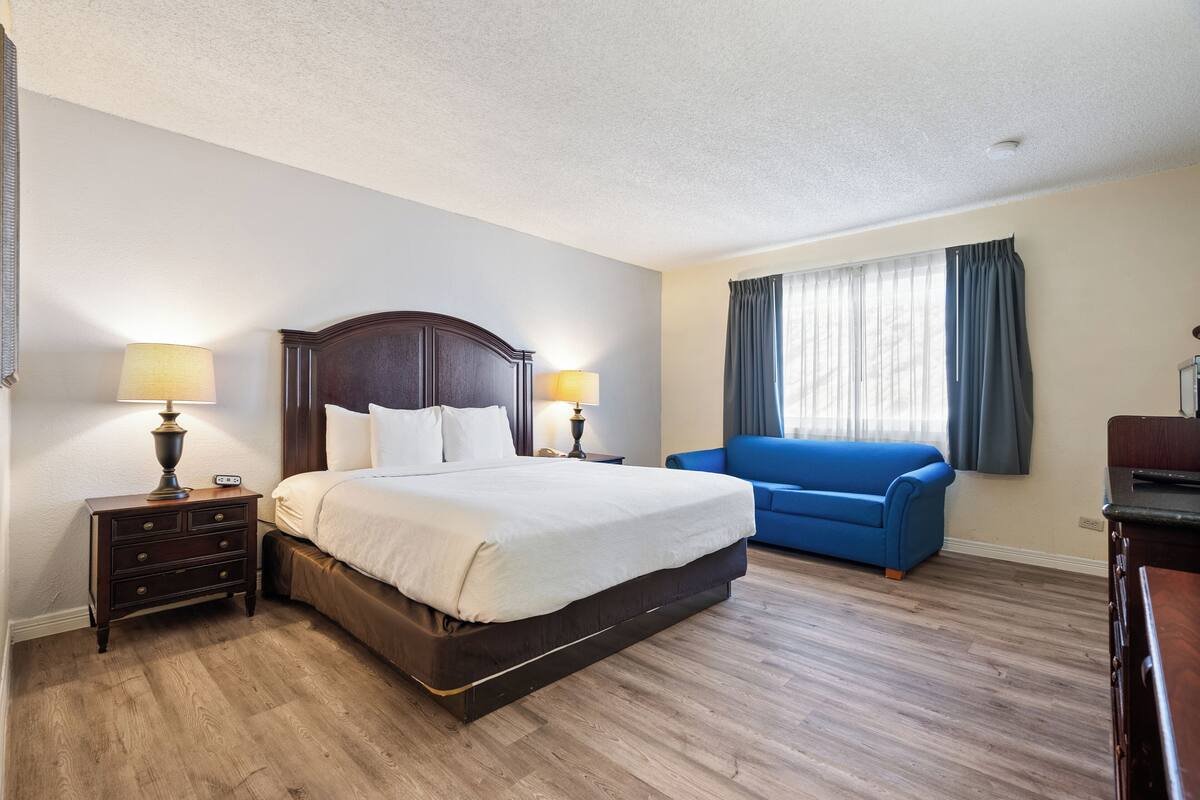 standard single room | 1 bedroom, individually decorated, individually furnished, desk