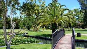 A wooden bridge over a pond with lily pads, surrounded by lush greenery and palm trees. - Metro Hotel Perth City (East Perth)
