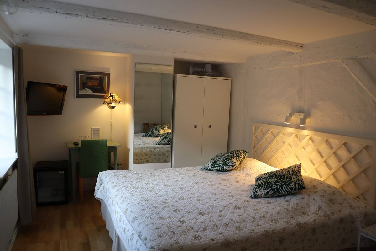 double or twin room | 1 bedroom, pillow-top beds, individually decorated