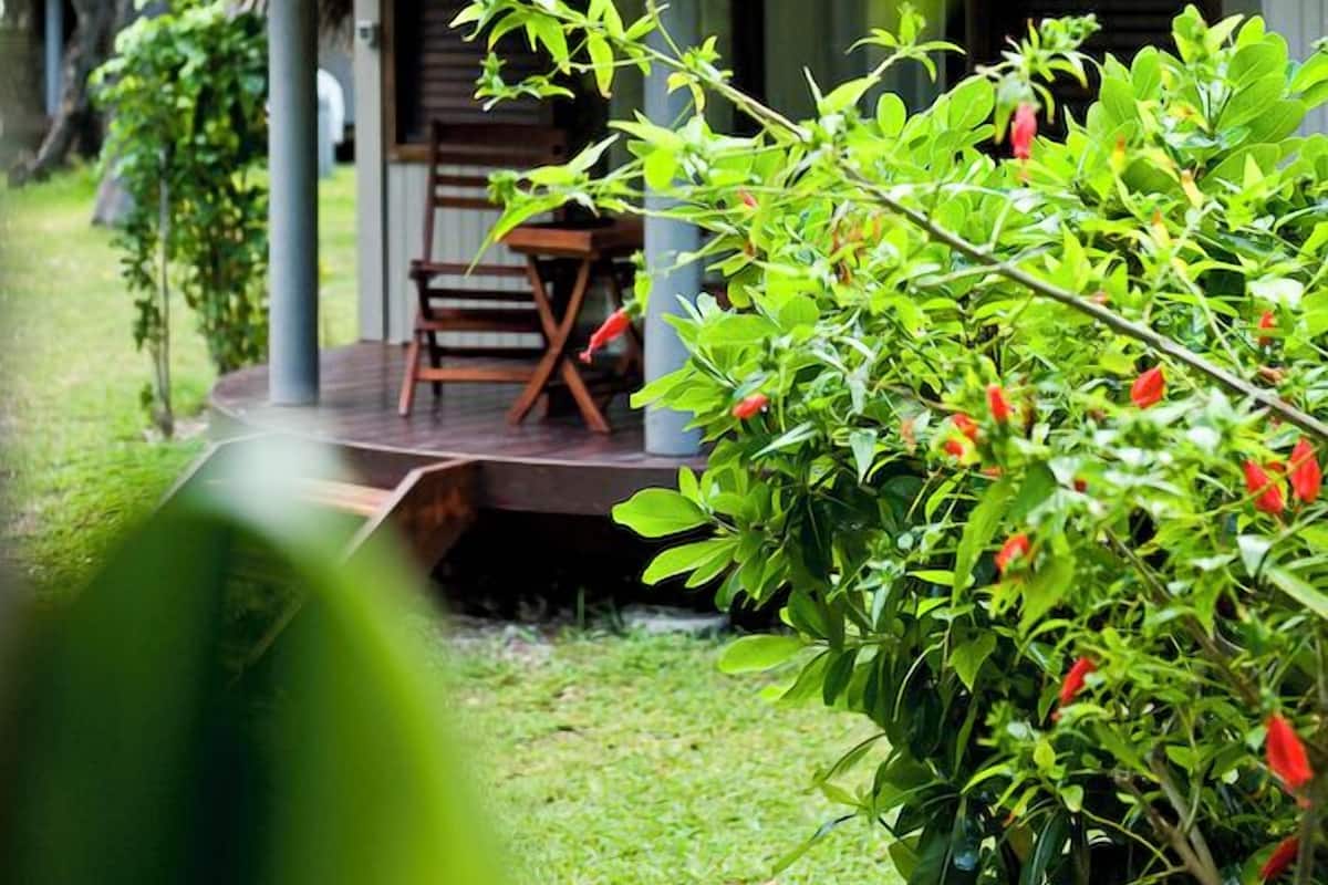 A thatched-roof hut with a wooden bench and a small table, surrounded by lush greenery and flowering plants.