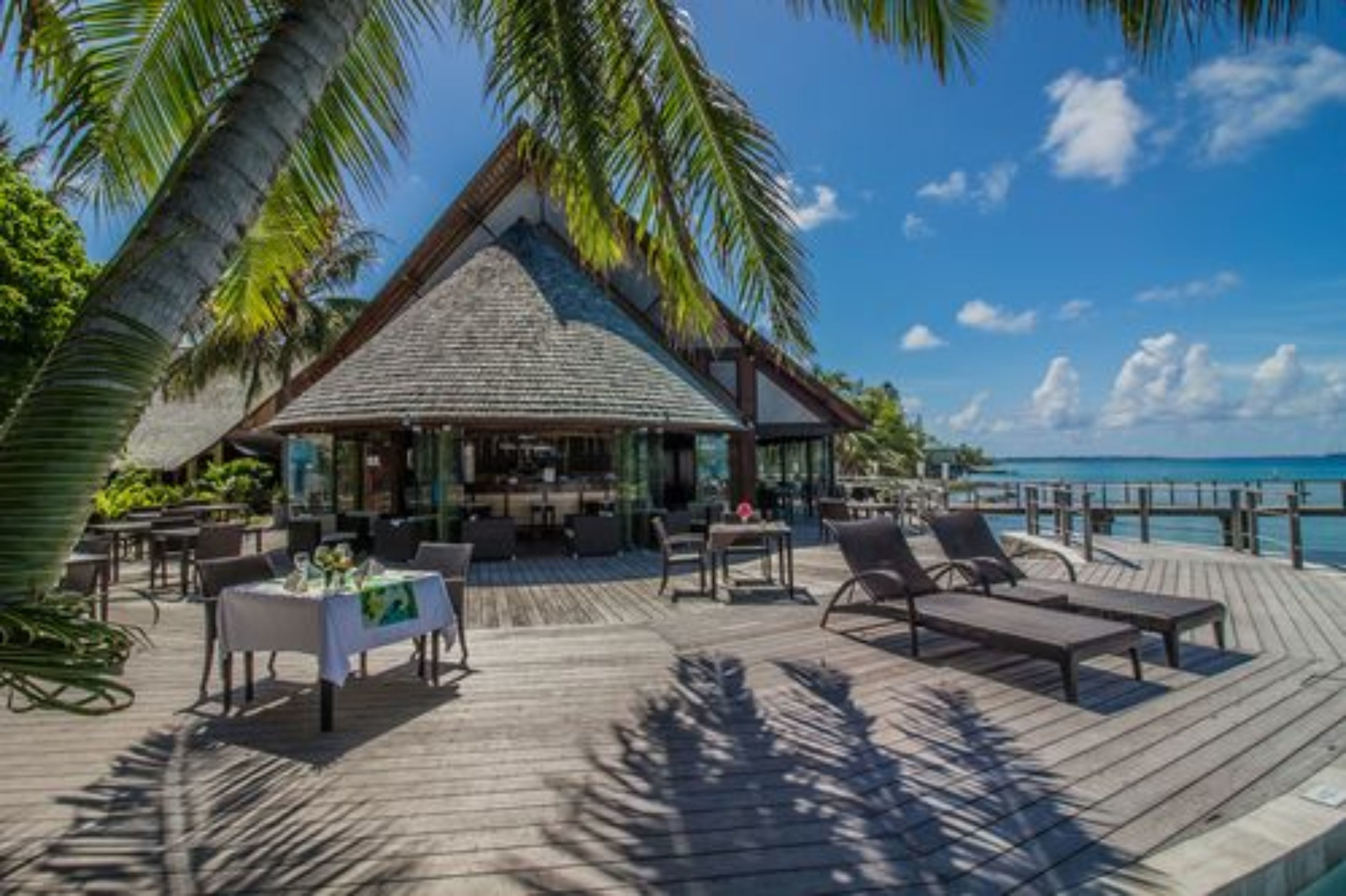 Alberca al aire libre y camastros 