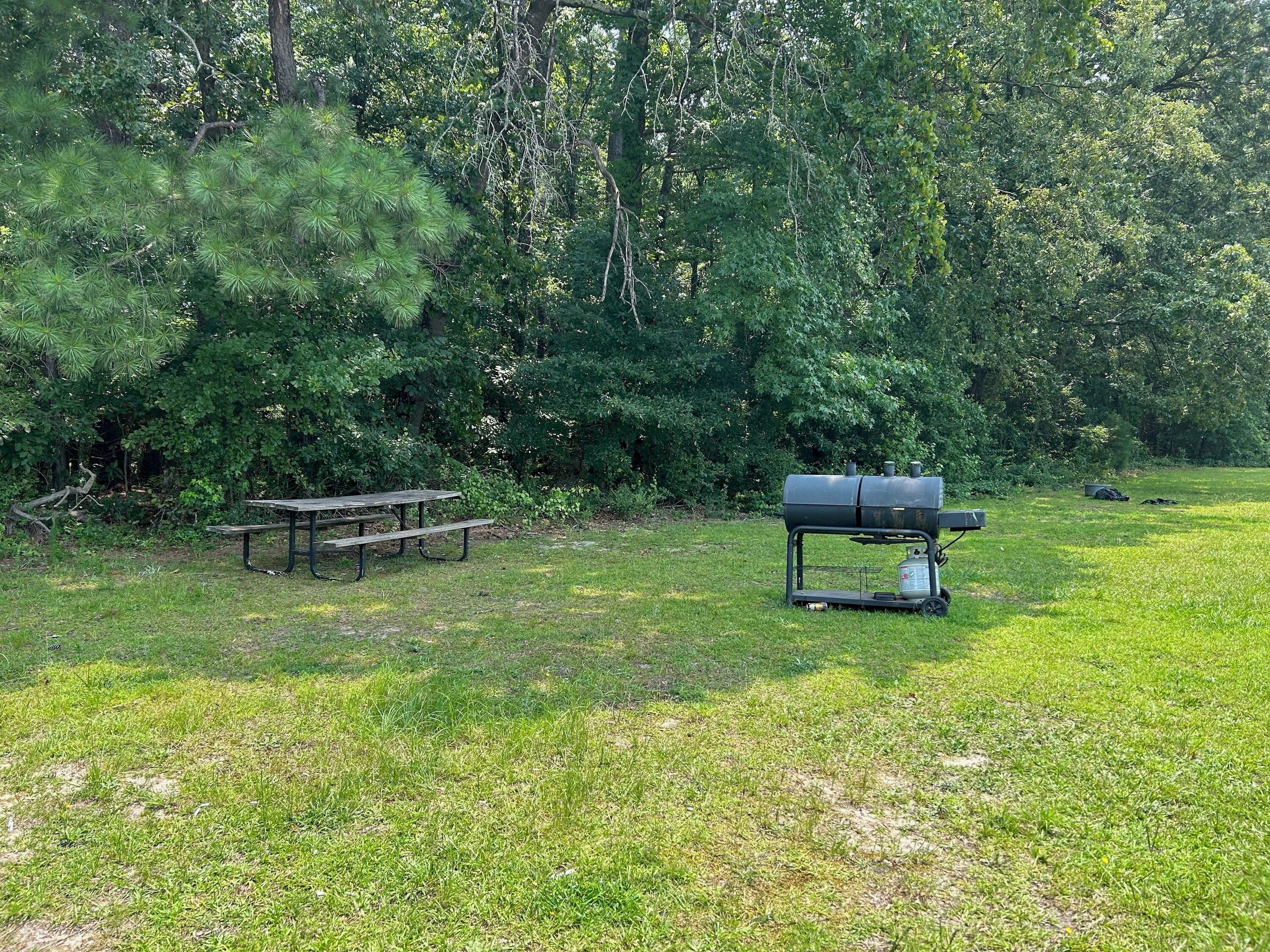 BBQ/picnic area