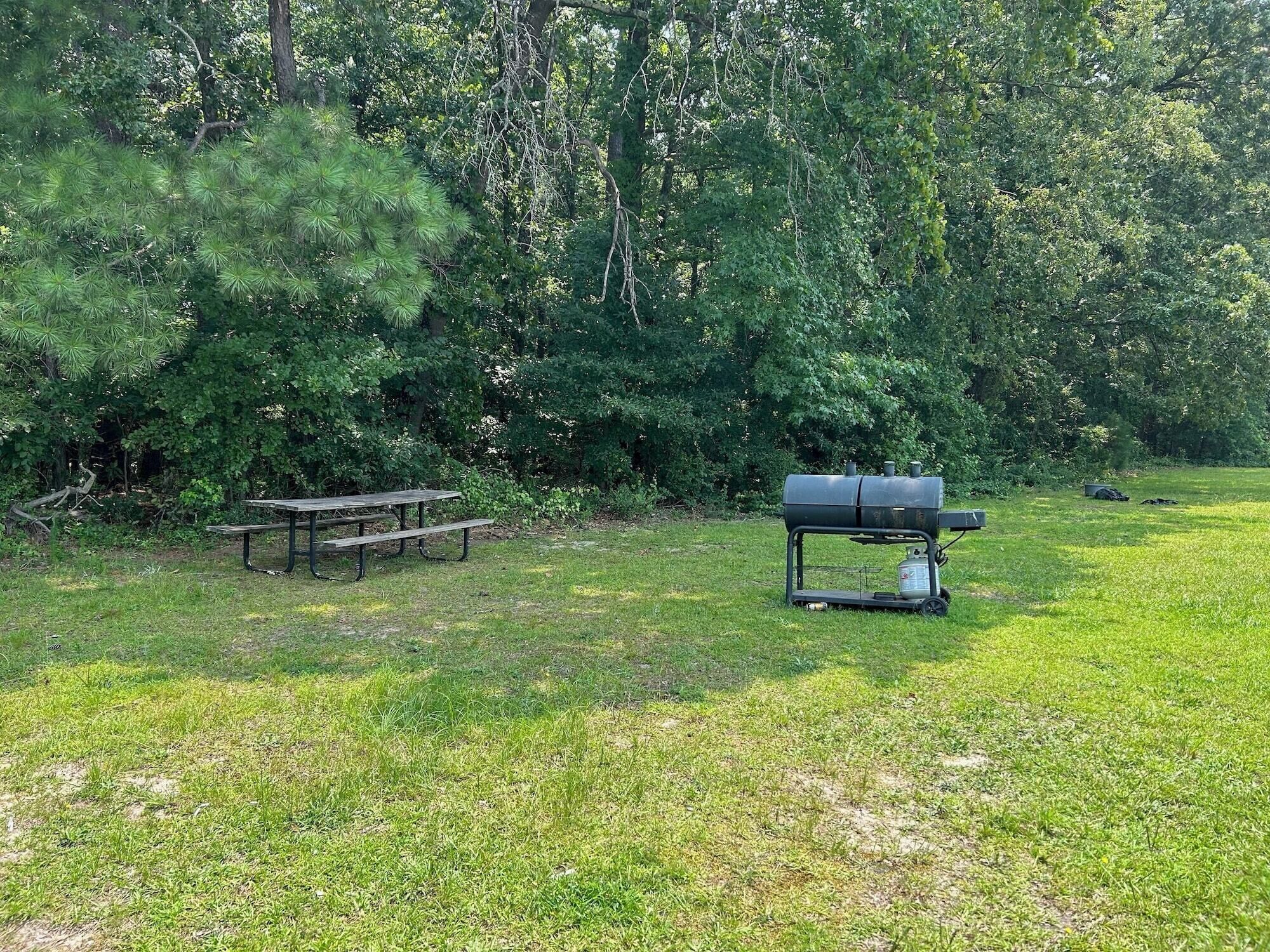 A picnic table and a barbecue grill in a grassy area surrounded by trees.
