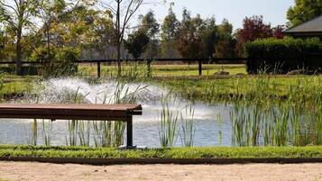 A bench by a pond with a fence and trees in the background.