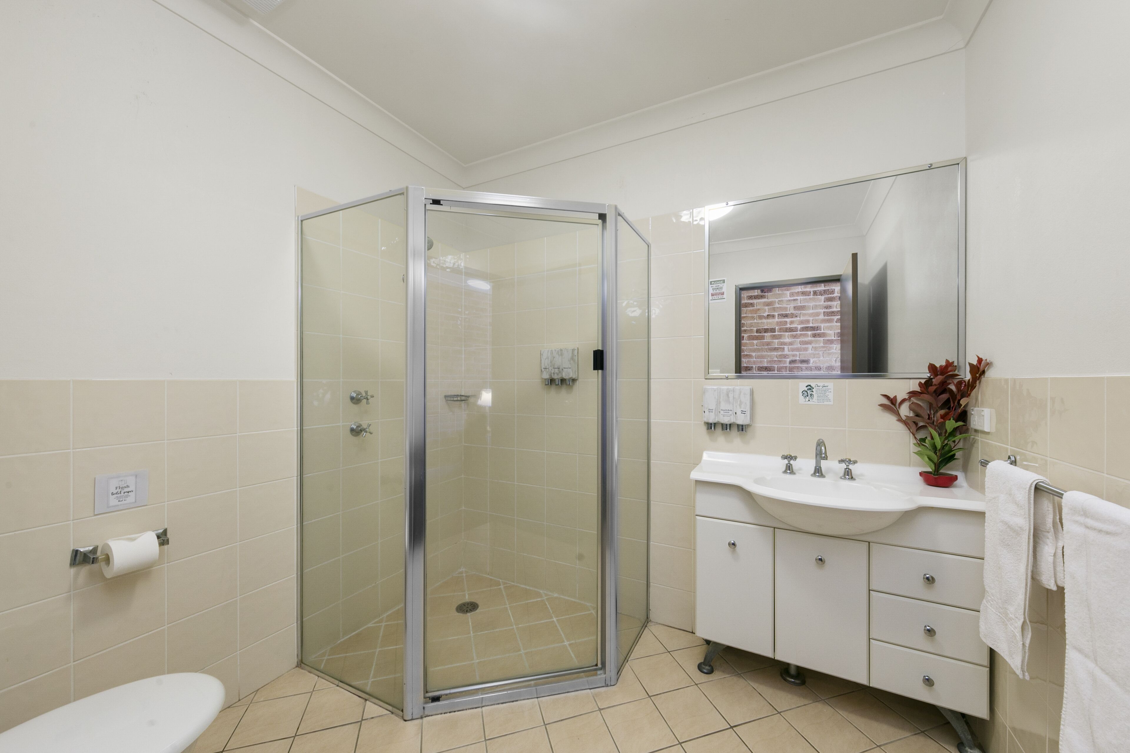 Un baño moderno con ducha de vidrio, un lavamanos blanco y un espejo encima, y un inodoro.
