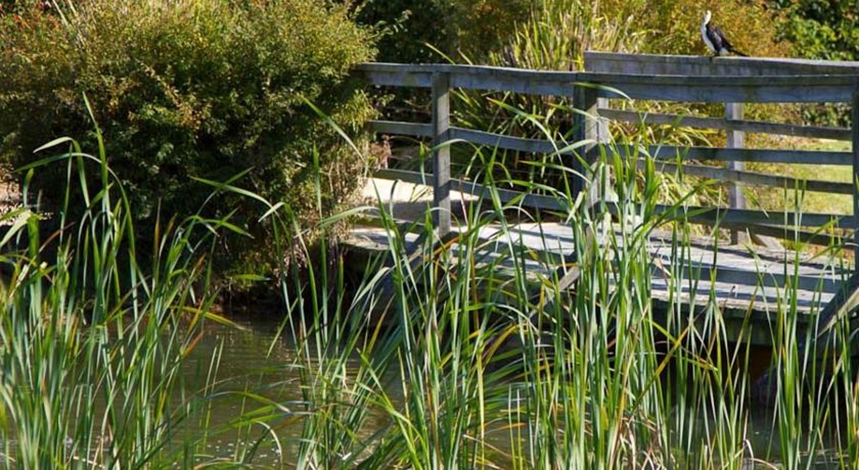 A wooden bridge over a body of water with tall grass in the foreground.