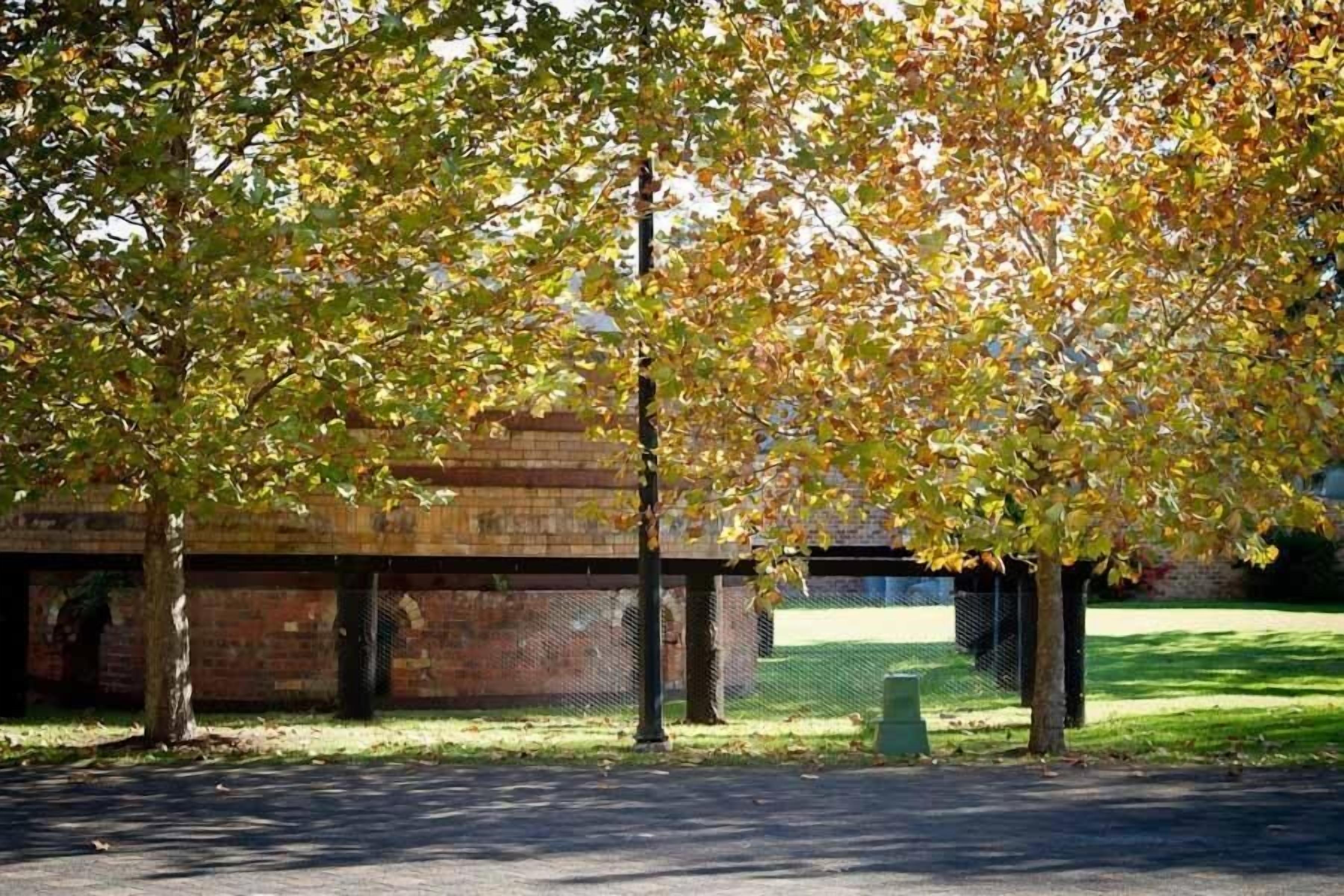A parking area with trees and a brick building in the background.
