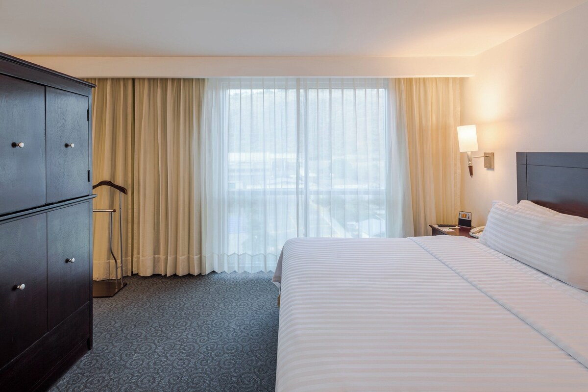 Suite, 1 King Bed