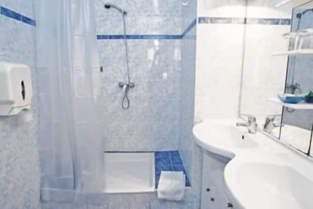 Triple Room | Bathroom | Shower, hair dryer (on request), towels