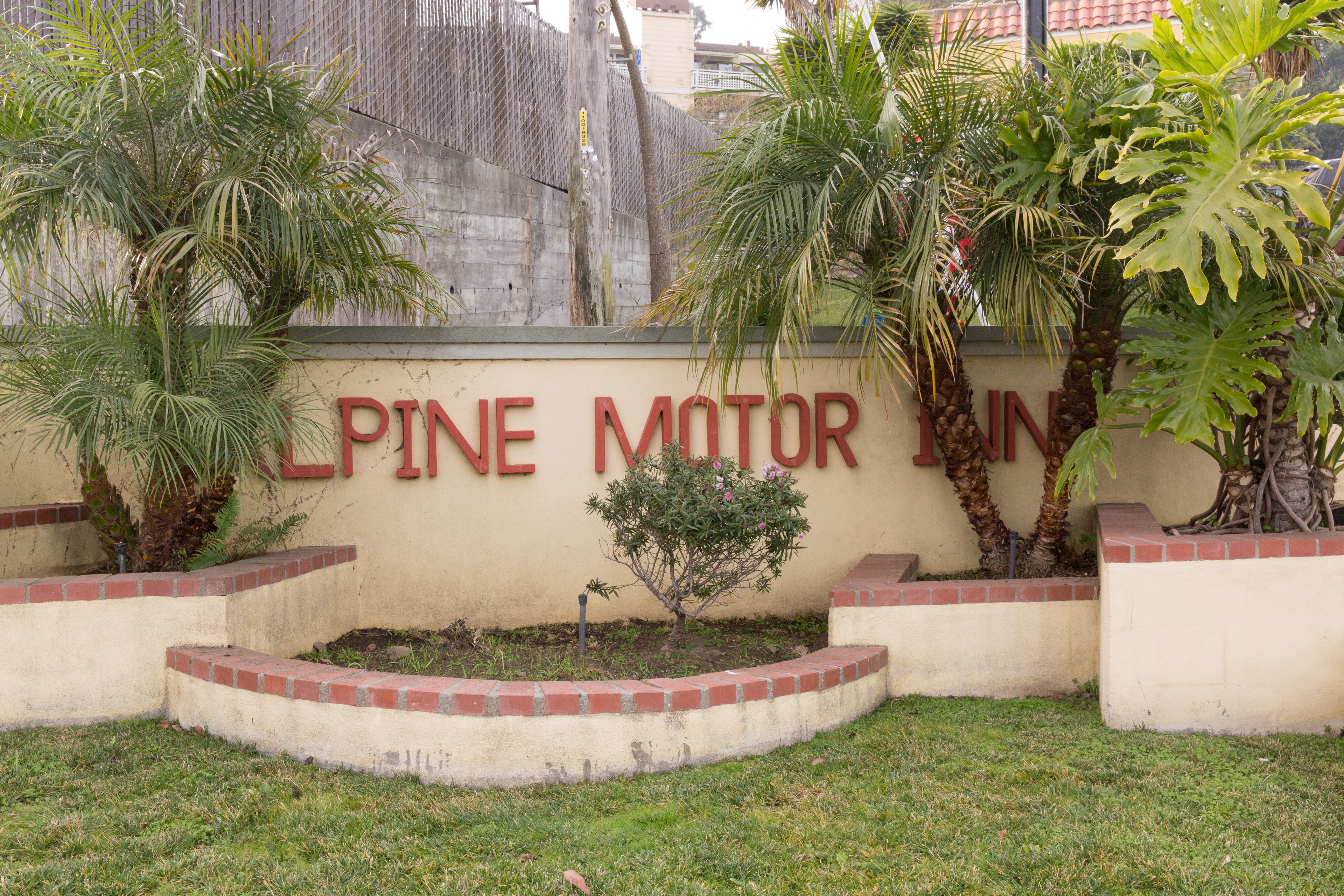 Placa do 'Pine Motor Inn' com um jardim ajardinado, apresentando palmeiras e um pequeno arbusto.