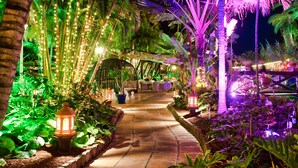 Un sendero bordeado de palmeras e iluminado con luces de adorno que conduce a una zona de estar con mesas y sillas.