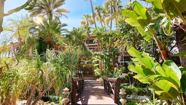 Un sendero serpentea por un exuberante jardín con palmeras y plantas tropicales.