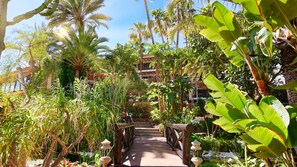 Un sendero serpentea por un exuberante jardín con palmeras y plantas tropicales.