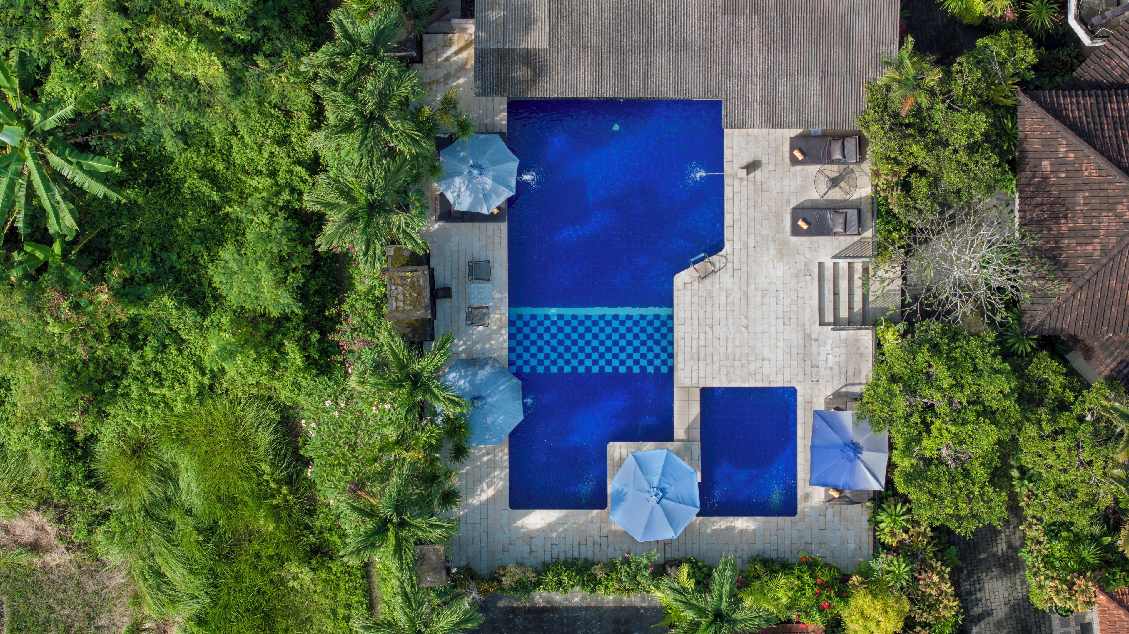 An aerial view of a rectangular swimming pool with checkered tiles, surrounded by lush greenery and a tiled deck.