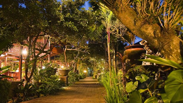 A paved pathway flanked by lush greenery and large pots, leading to a building with a traditional architectural style. - Taman Harum Cottages (Mas)