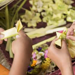 Hoạt động cho trẻ em