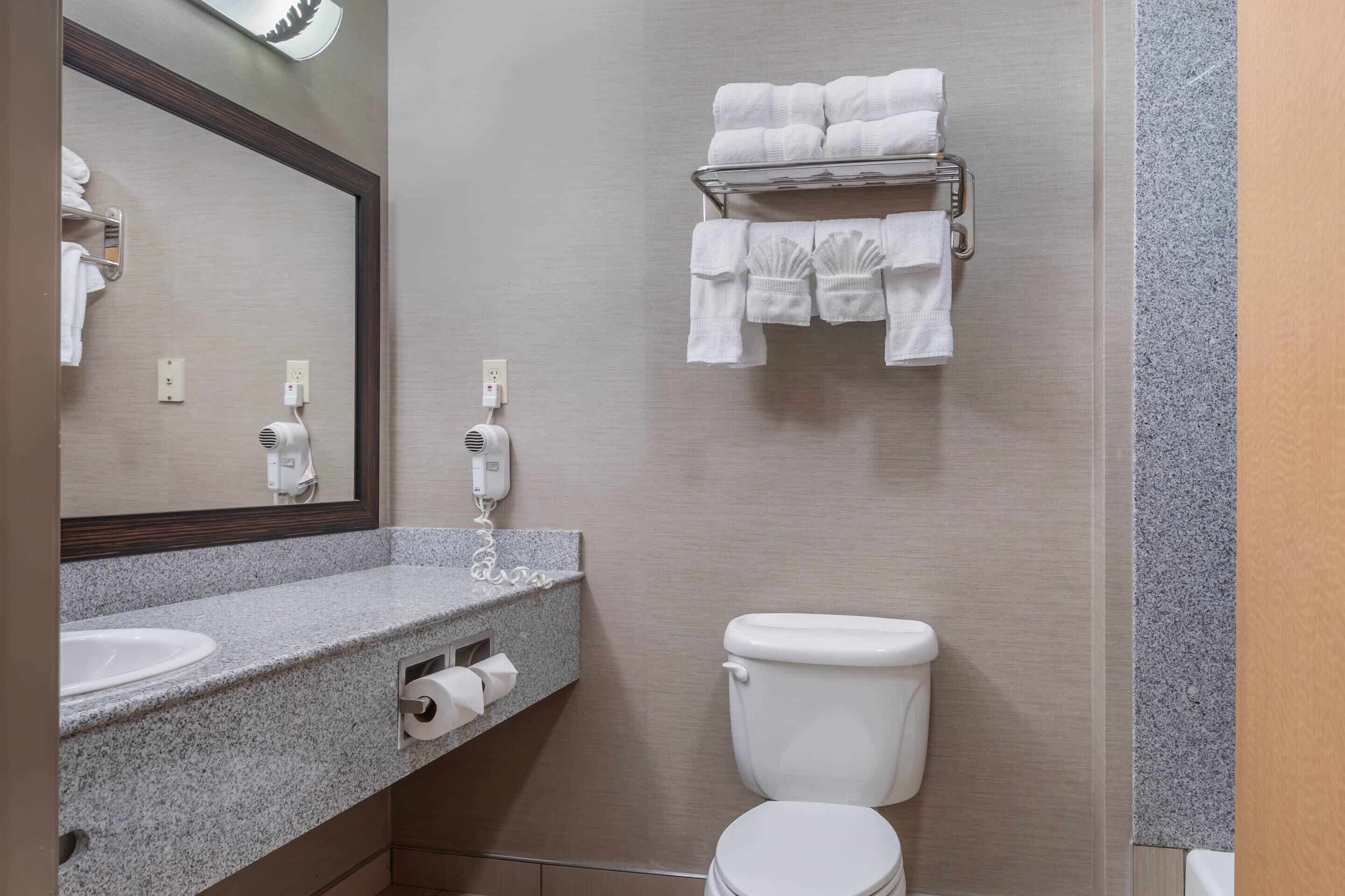 A bathroom with a sink, toilet, towel rack, and a mirror.