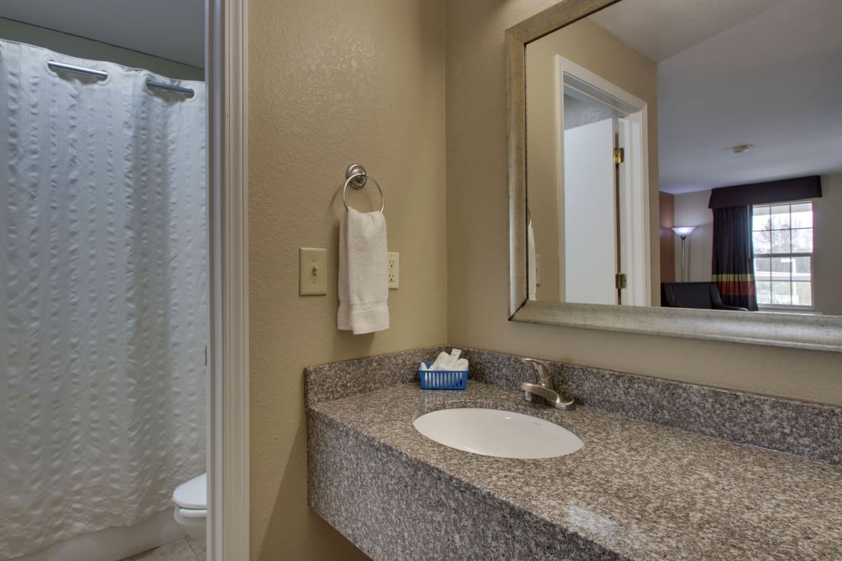 combined shower/bathtub, free toiletries, hair dryer, towels