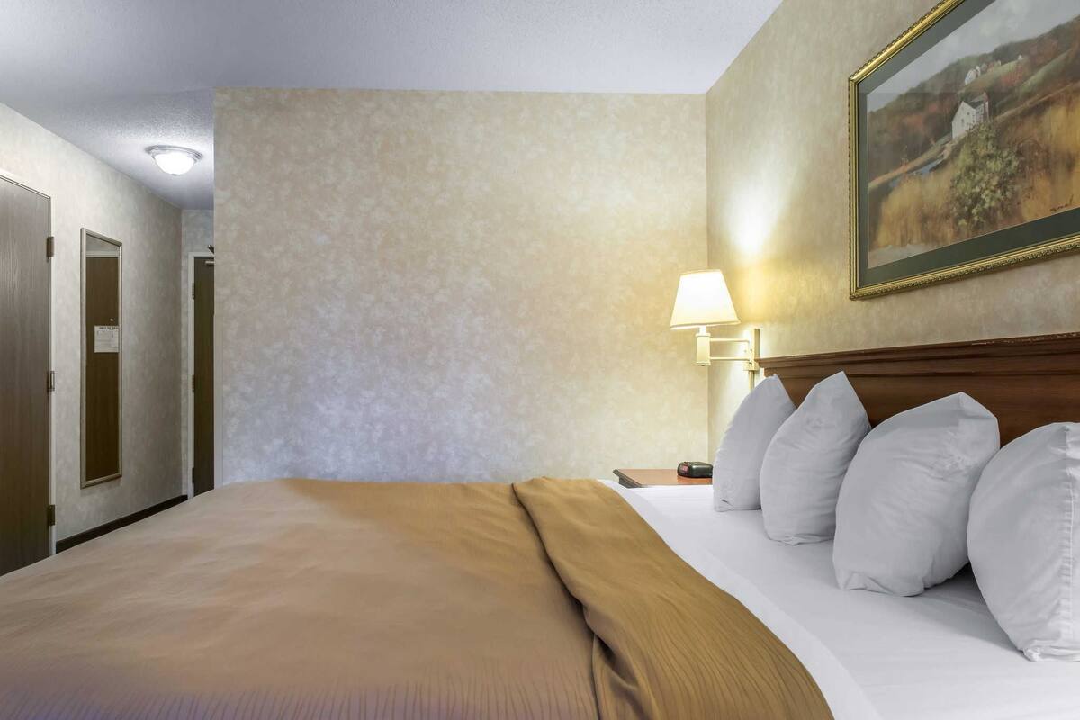 Iron/ironing board, WiFi (free), alarm clocks, bed sheets