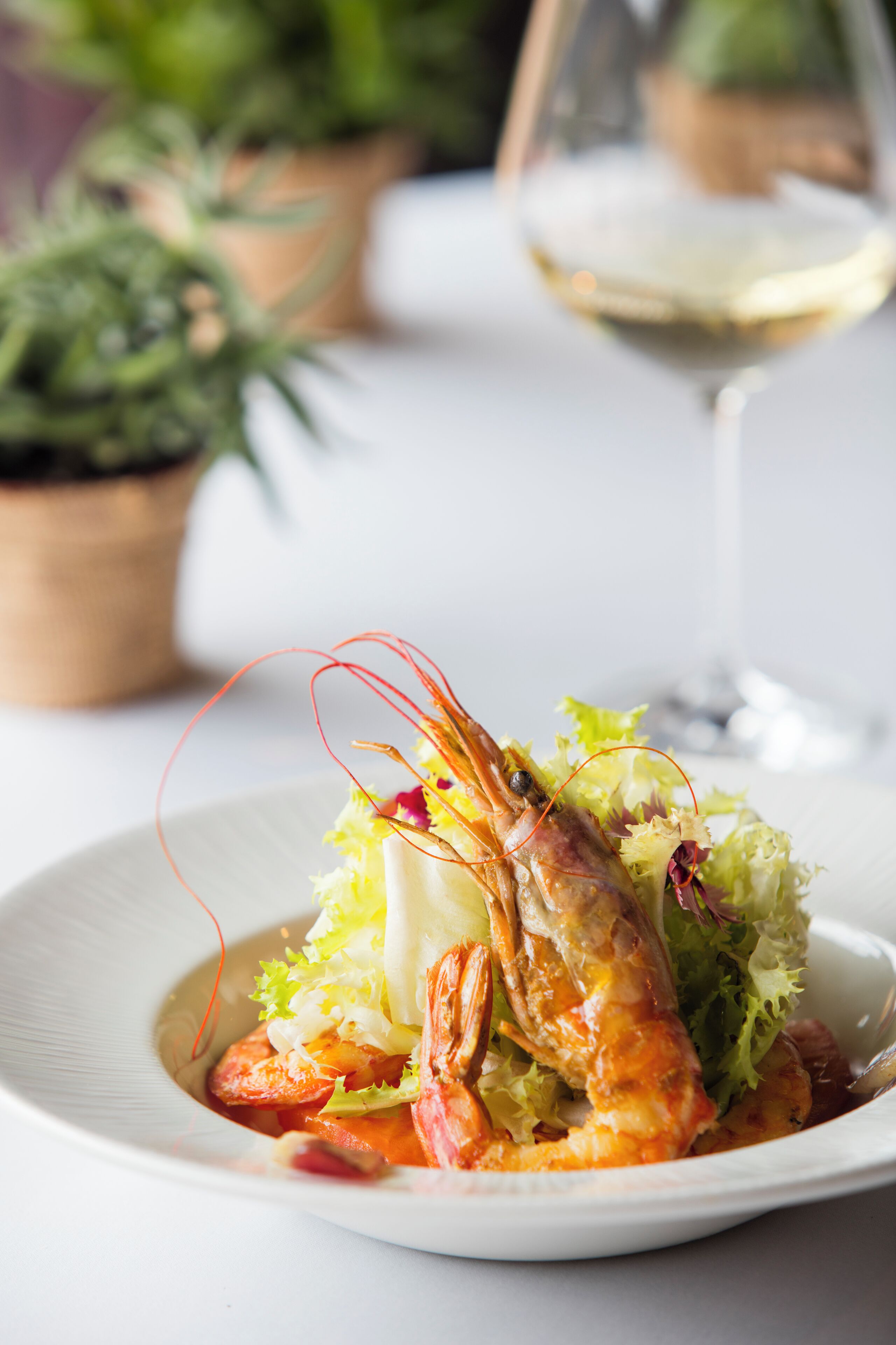 A plate with a cooked shrimp and salad, a wine glass, and potted plants in the background.