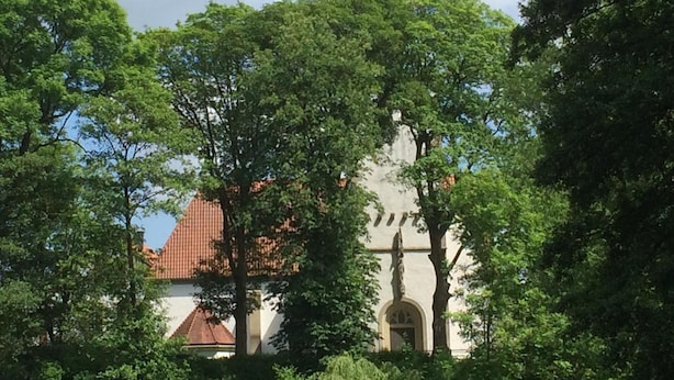 Eine Kirche mit einem hohen Kirchturm und einem roten Ziegeldach, umgeben von üppigen, grünen Bäumen.