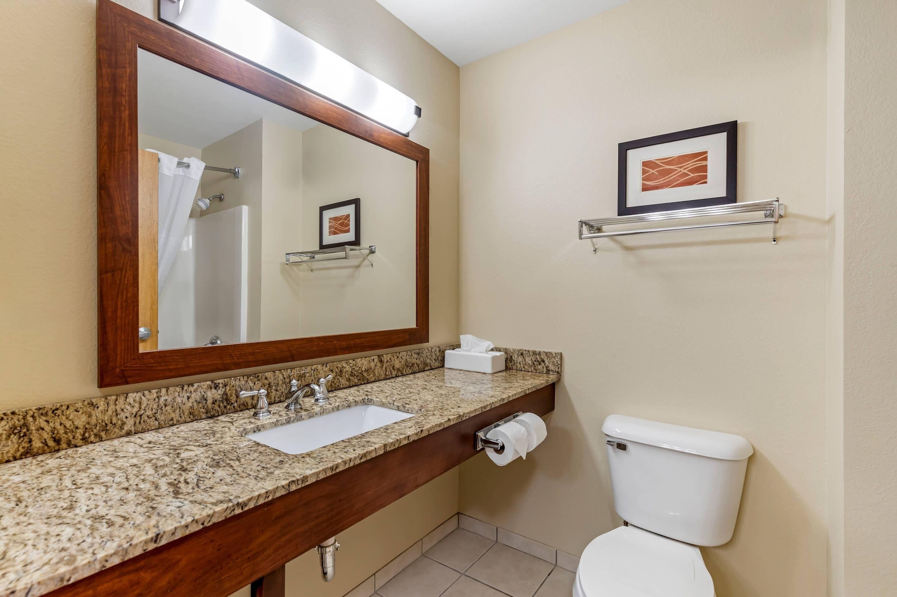 A bathroom with a granite countertop sink, a mirror, a framed picture, a toilet, and a towel dispenser.