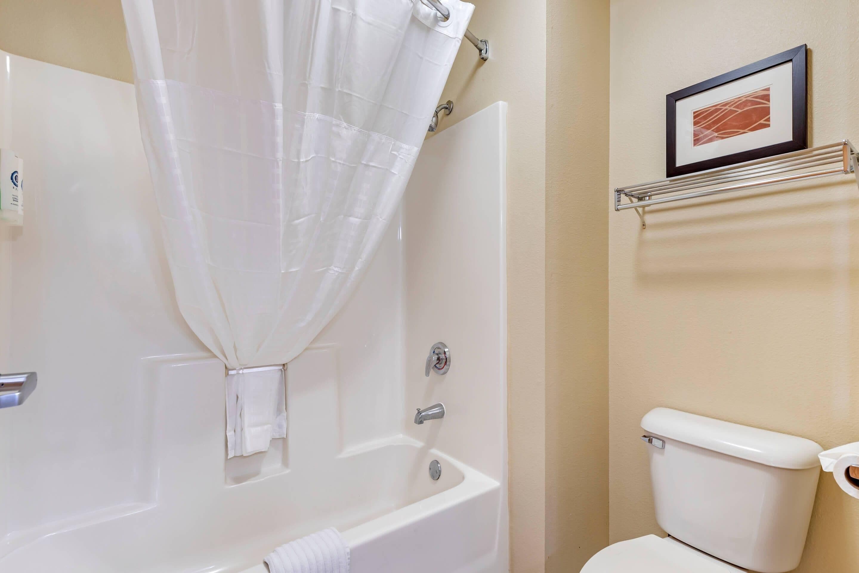 A bathroom with a bathtub, toilet, and a framed picture on the wall.