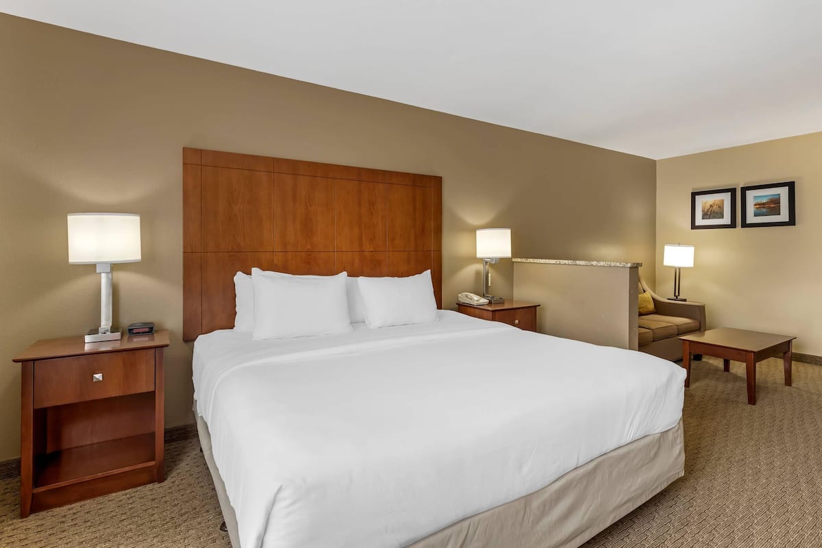 Suite, 1 King-Bett und Schlafsofa, Nichtraucher