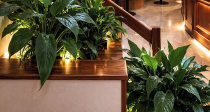 Hotel Pavone