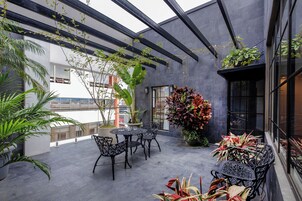 Terraza en la azotea con una mesa y sillas de metal negro, rodeada de plantas en macetas y una planta ornamental grande.