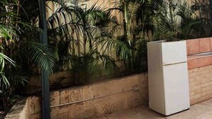 Un patio exterior con una mesa y bancos de madera, un refrigerador blanco y una pared con plantas tropicales.