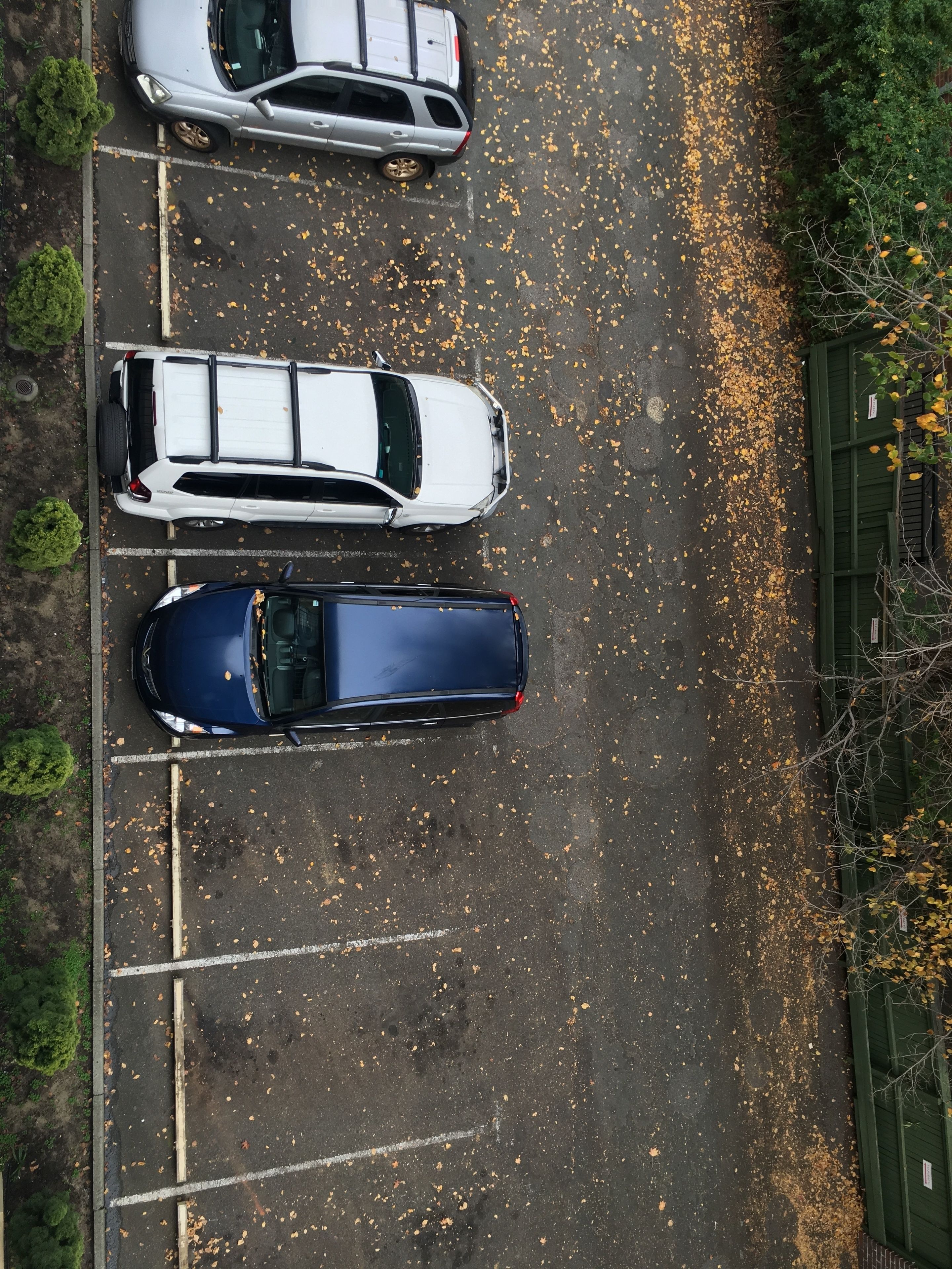 Mountway Holiday Apartments — image 29