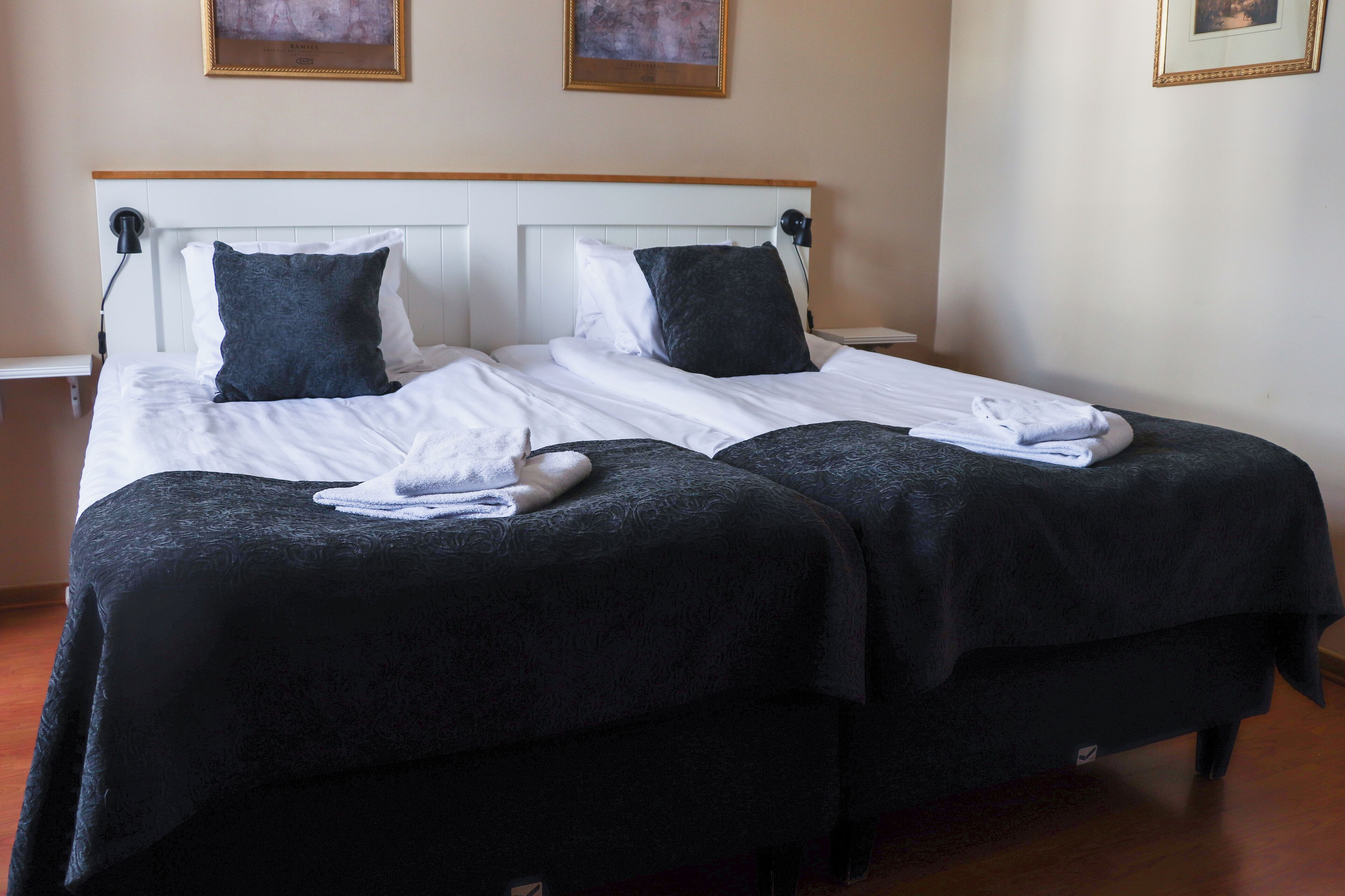 Una cama doble con sábanas blancas y almohadones oscuros, una mesita de noche con lámpara, y un cuadro en la pared.