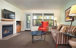 Televisión LCD, chimenea, reproductor de DVD